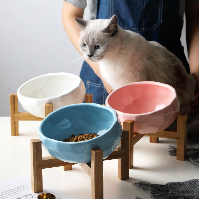 oblique mouth tilted pet bowl anti vomit whisker friendly cats dogs USA