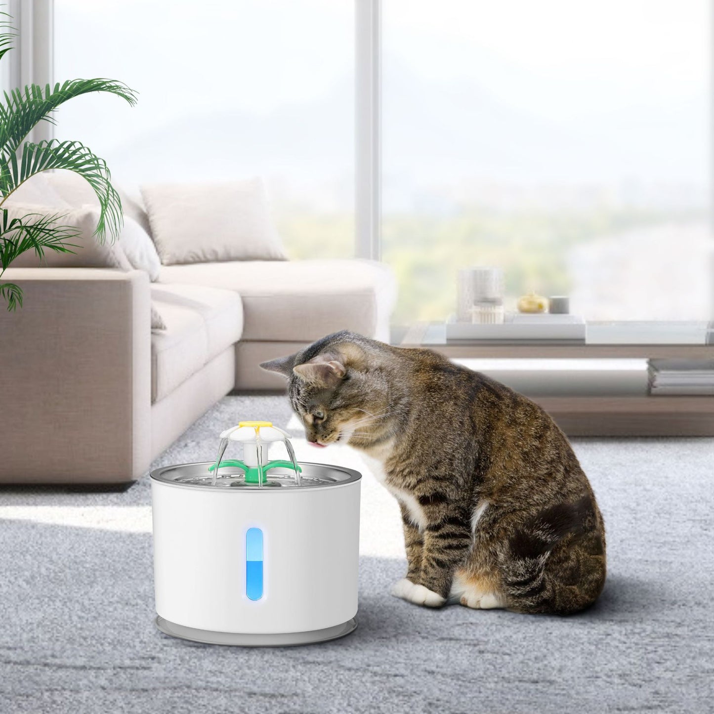 Stainless Steel Pet Water Dispenser For Cats & Dogs | Klickingz