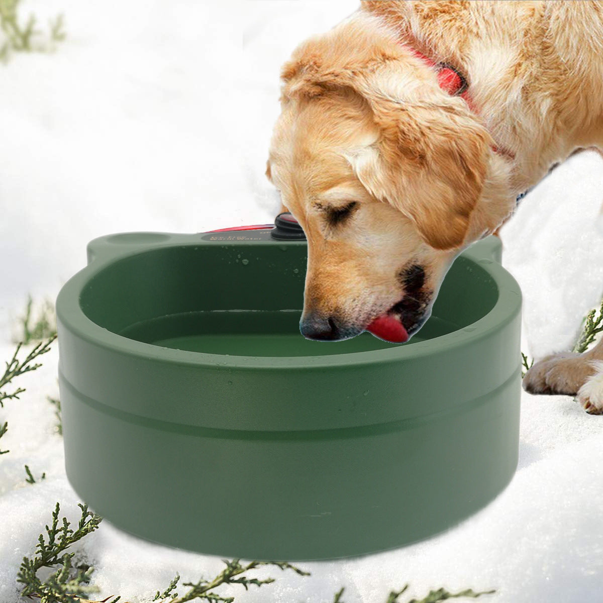 dog eating from outdoor heated food water bowl winter weather