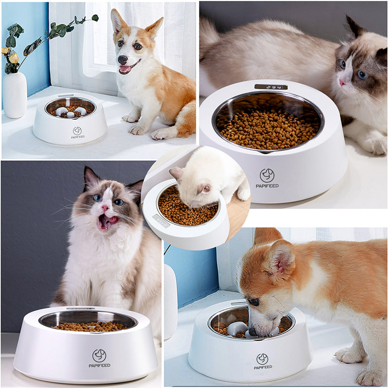 Smart Weighing Slow Feeder Dog Bowl | Scale Pet Feeder | Klickingz