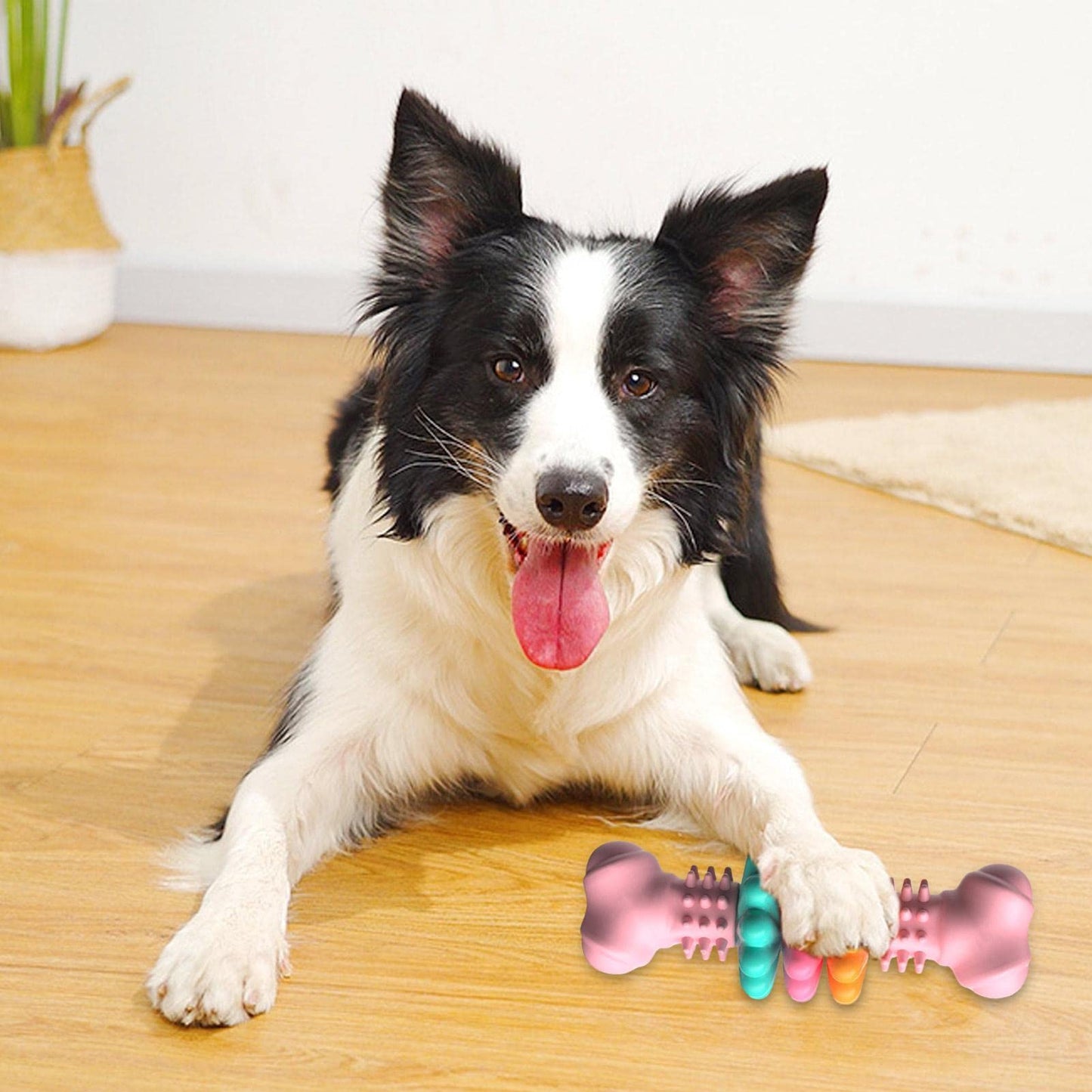 Indestructible Dog Bone Chew Toy | TPR Teeth Cleaning | Klickingz