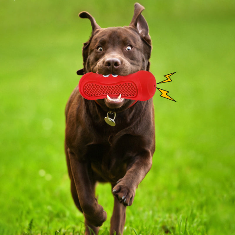 Vocal Rugby Natural Rubber Dog Chew Toy | Bite Resistant | Klickingz
