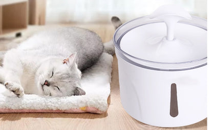 Intelligent Automatic Pet WaterDispenser|Circulating Filter|Klickingz