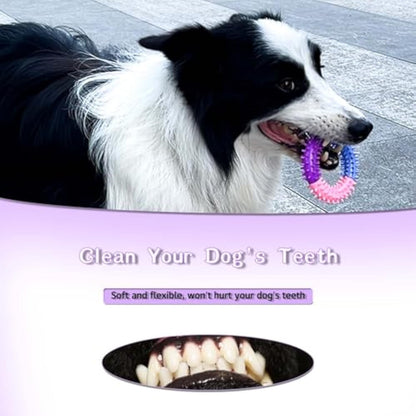 Rubber Ring Dog Chew Toy | Puppy Teething Toy | Klickingz
