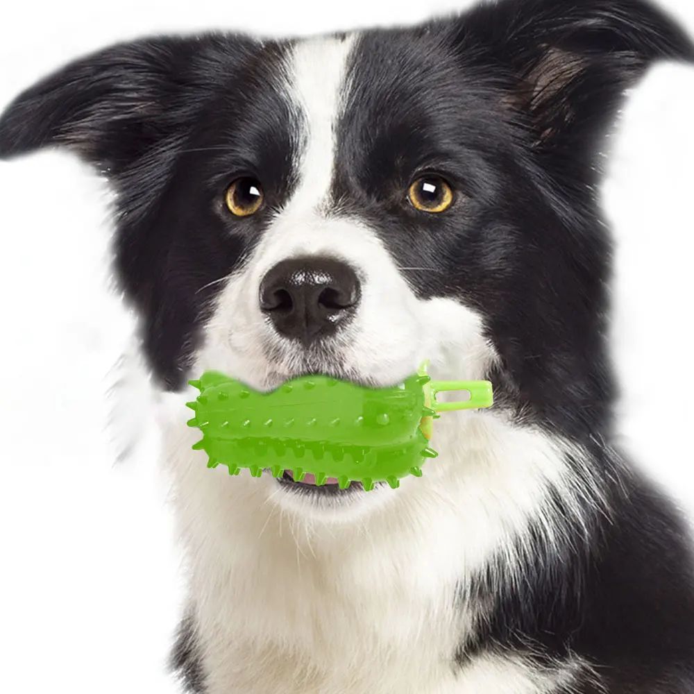 Chili Interactive Dog Chew Toy | Puppy Teething Toy | Klickingz