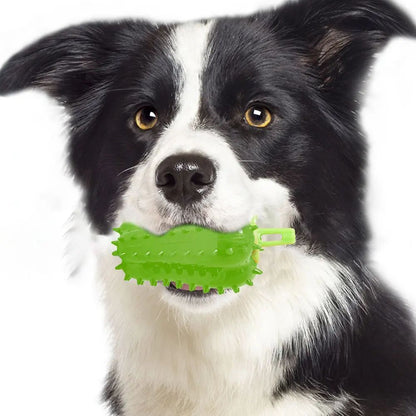 Chili Interactive Dog Chew Toy | Puppy Teething Toy | Klickingz