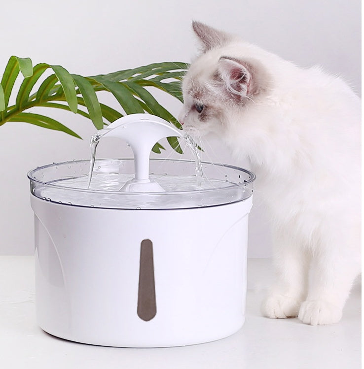 intelligent automatic pet water dispenser circulating filter cats dogs USA
