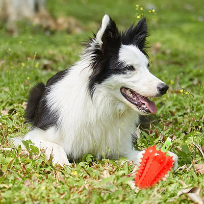 Chili Interactive Dog Chew Toy | Puppy Teething Toy | Klickingz