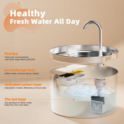 Stainless Steel Automatic Cat Water Dispenser | Klickingz