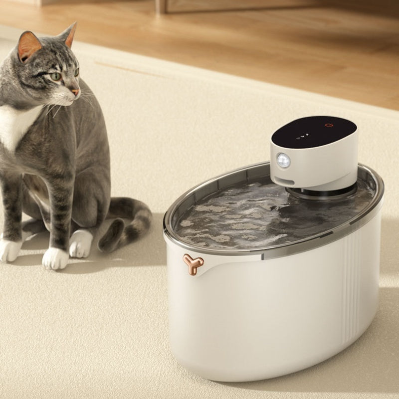 Wireless smart mute cat water dispenser cordless rechargeable porcelain white | Klickingz USA